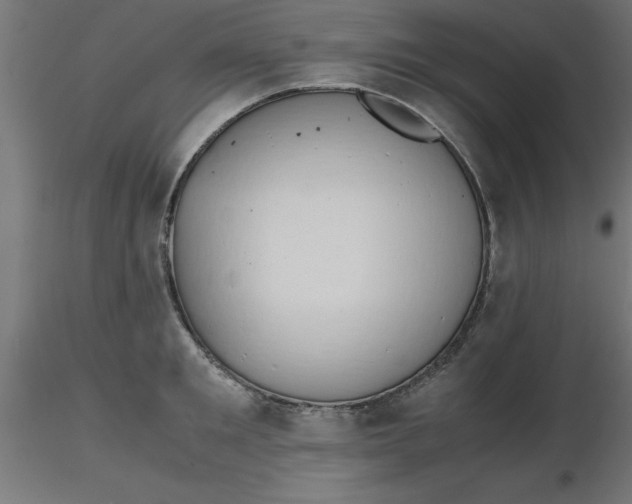 X0000116660901200912291635