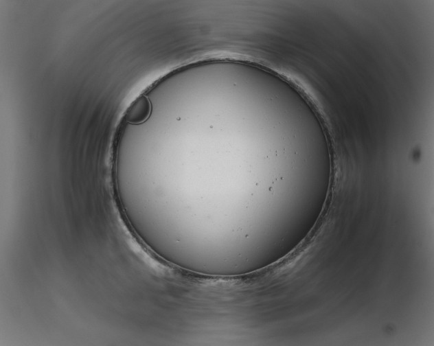 X0000116660902200912291635