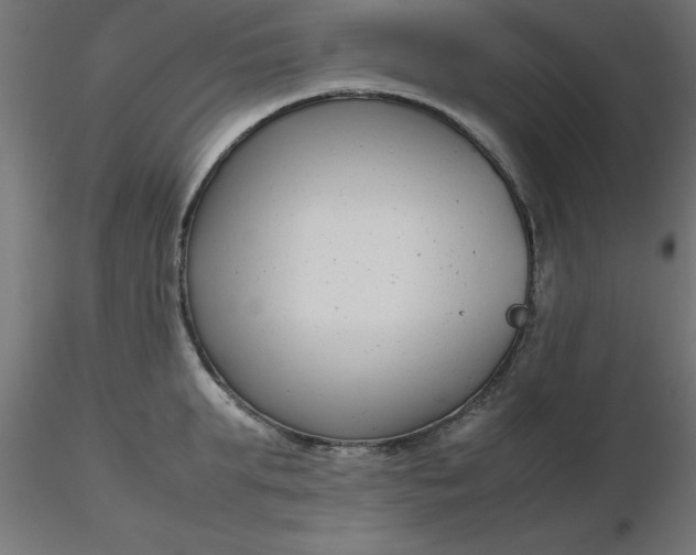 X0000116660903200912291635