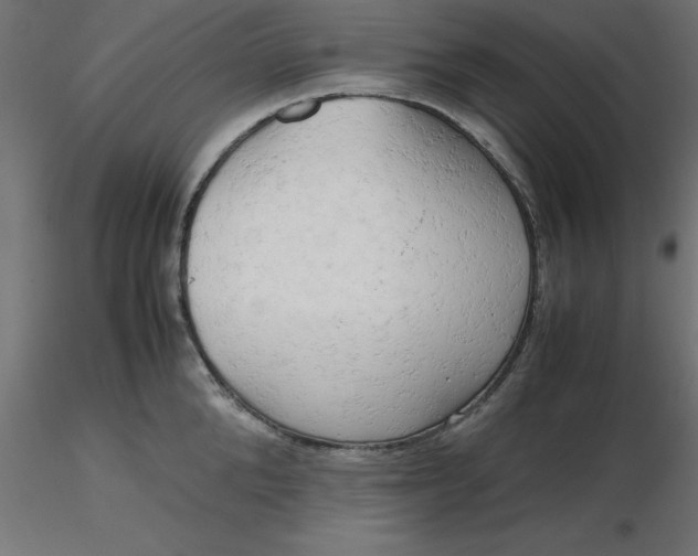 X0000116660904200912291635