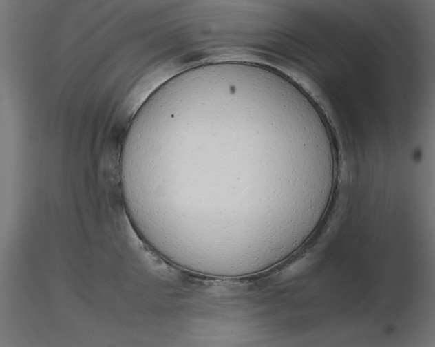 X0000116660905200912291635