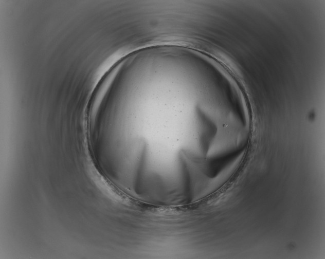 X0000116660907200912291635