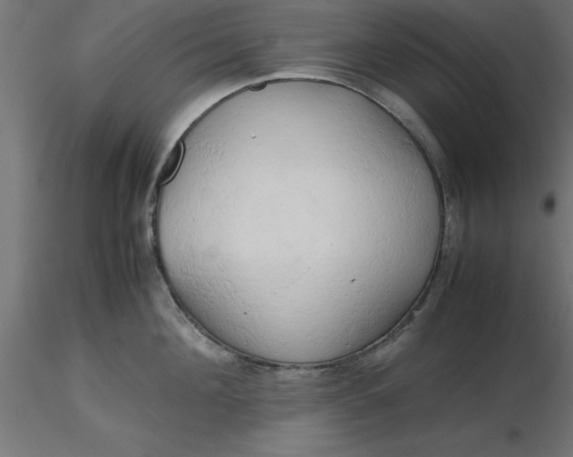 X0000116660908200912291635