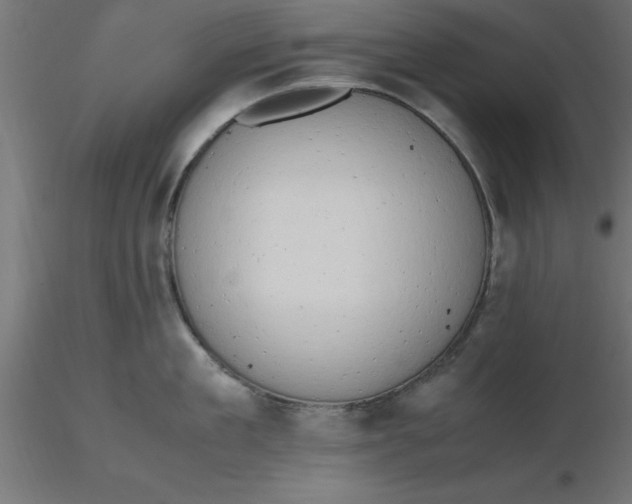 X0000116660909200912291635