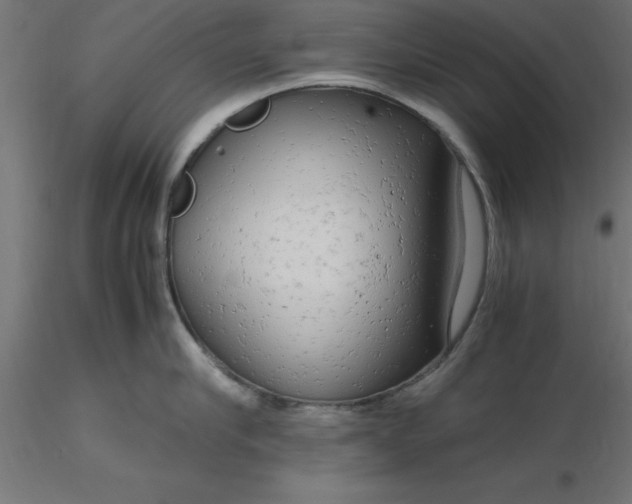 X0000116660910200912291635