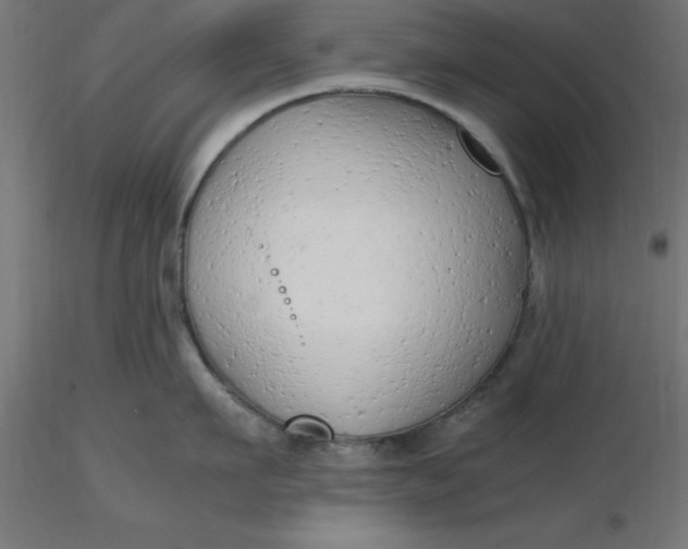 X0000116660911200912291635