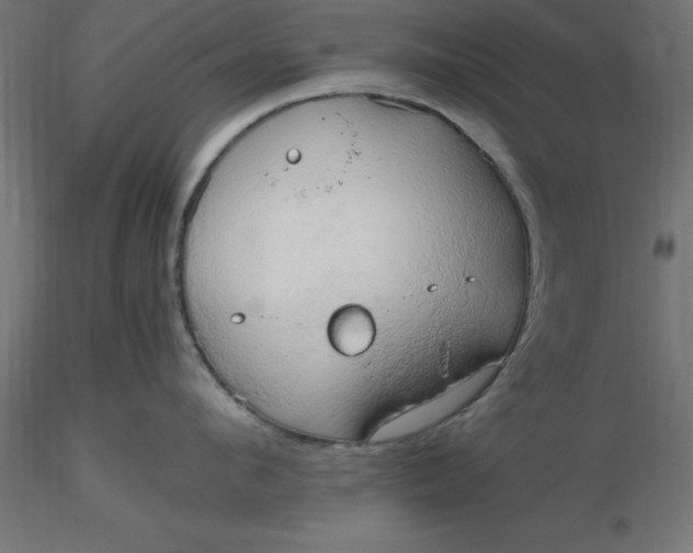 X0000116660912200912291635