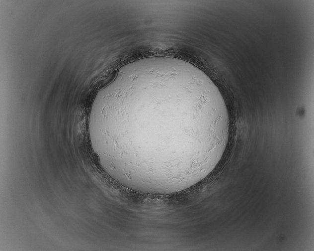 X0000116660914200912291634