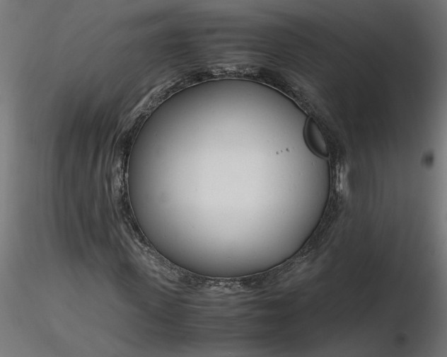 X0000116660915200912291634