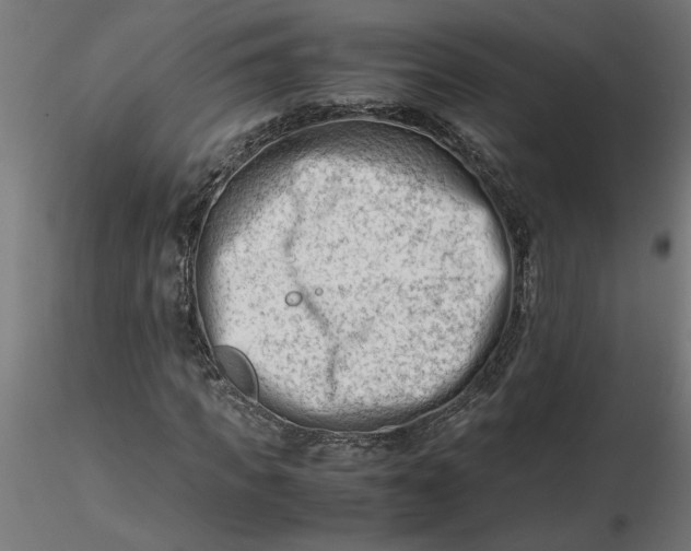 X0000116660917200912291634