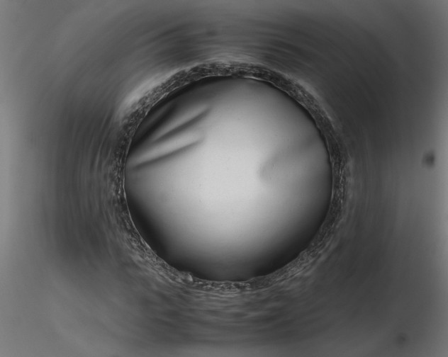 X0000116660919200912291634