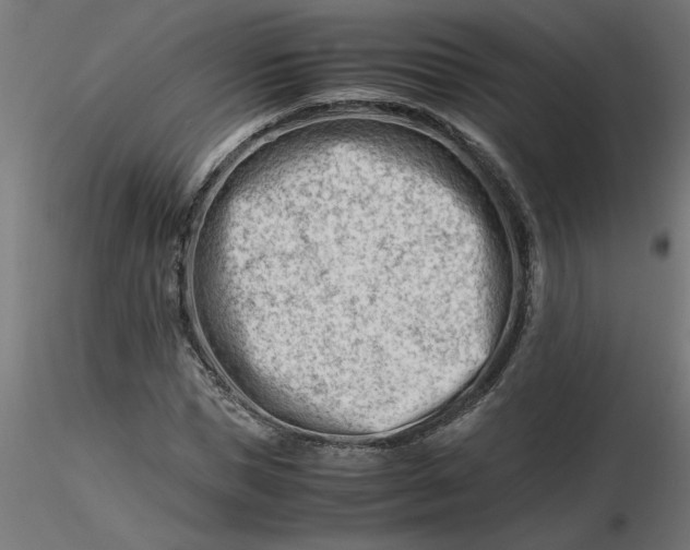 X0000116660921200912291634