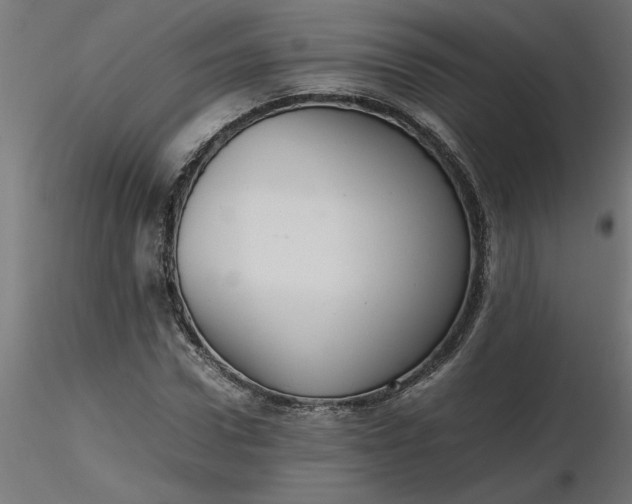 X0000116660922200912291634