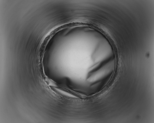 X0000116660923200912291634