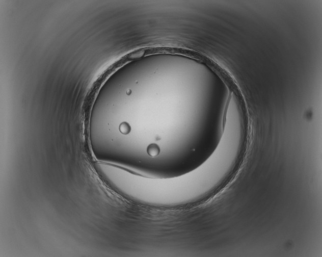 X0000116660925200912291634