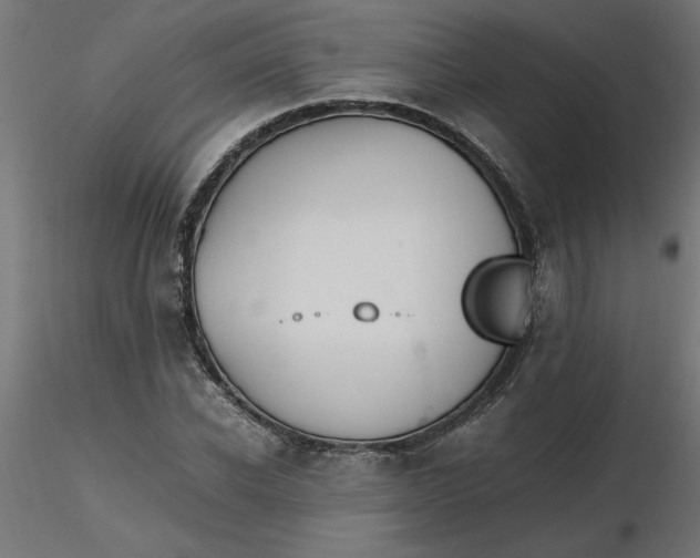 X0000116660926200912291634