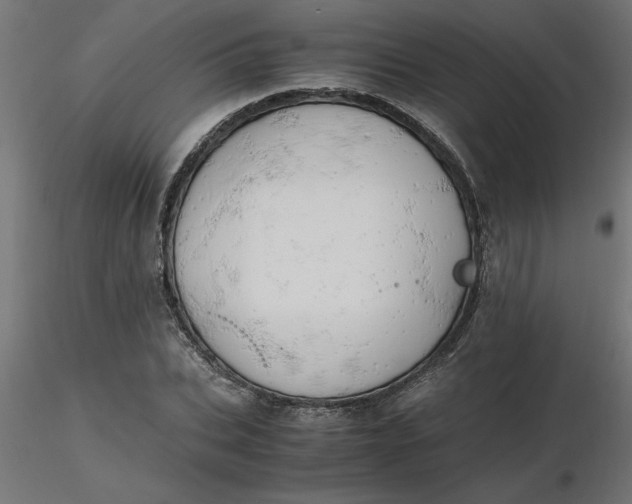 X0000116660927200912291634