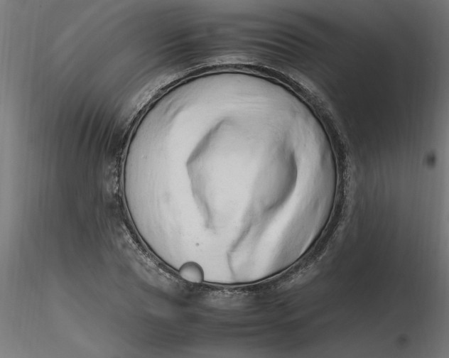 X0000116660929200912291634