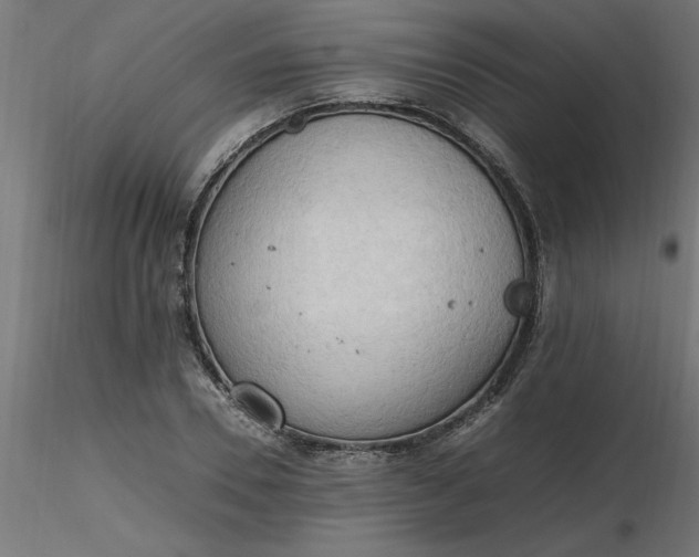 X0000116660930200912291634