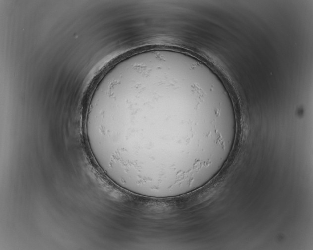 X0000116660931200912291634