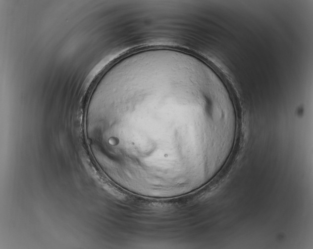 X0000116660933200912291634