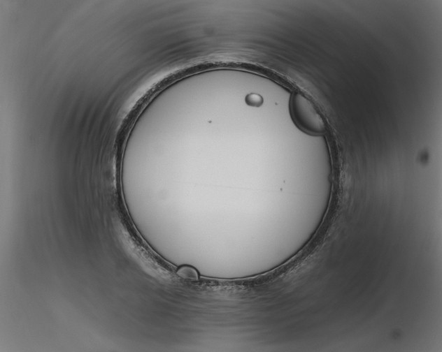 X0000116660934200912291634