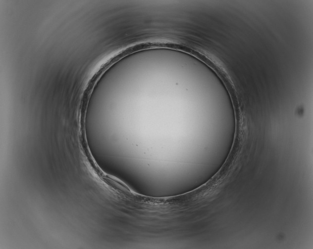 X0000116660935200912291634