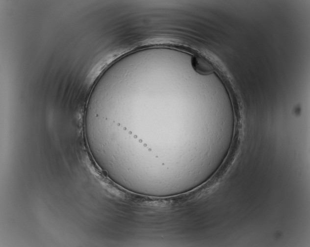 X0000116660937200912291634