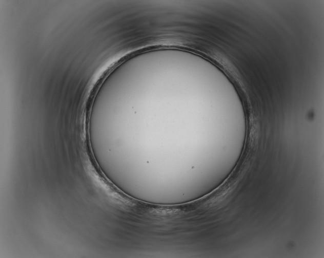 X0000116660939200912291634