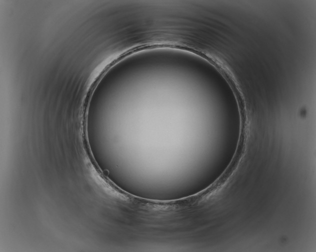 X0000116660941200912291634