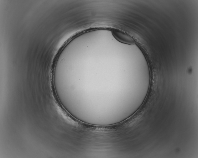 X0000116660942200912291634