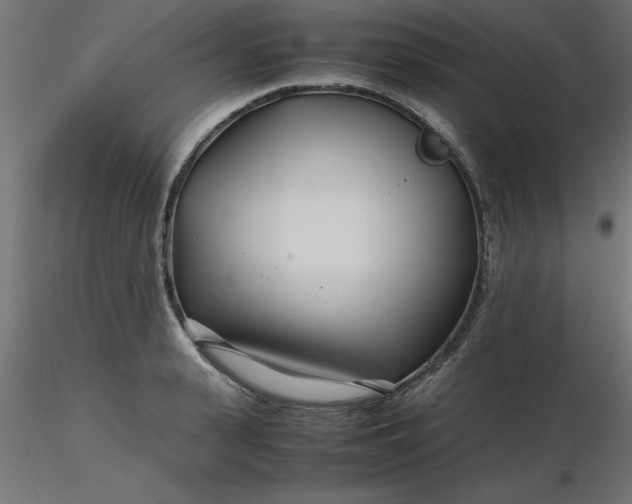 X0000116660943200912291634