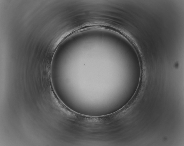 X0000116660945200912291634