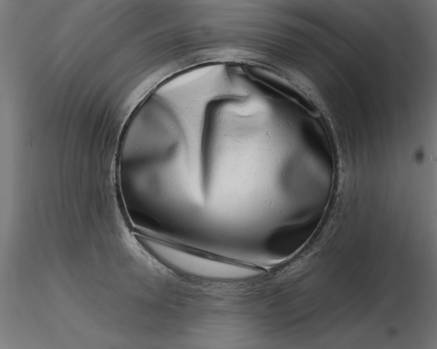 X0000116660946200912291634