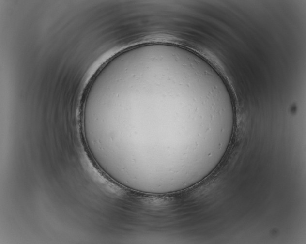 X0000116660947200912291634