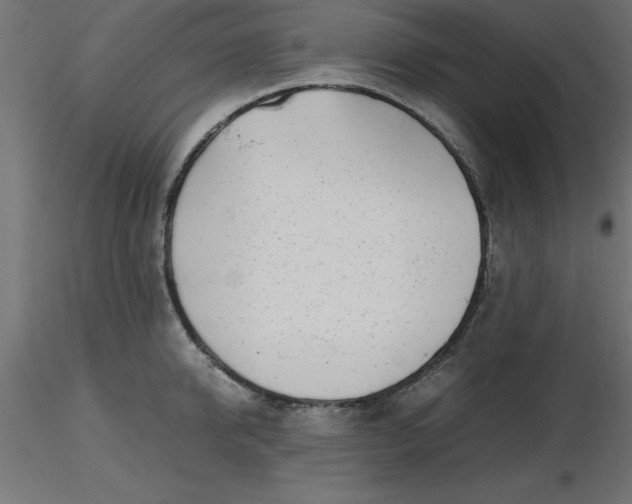 X0000116660950200912291634