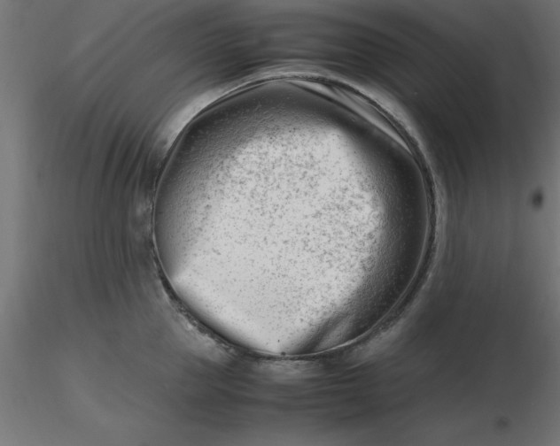 X0000116660953200912291634