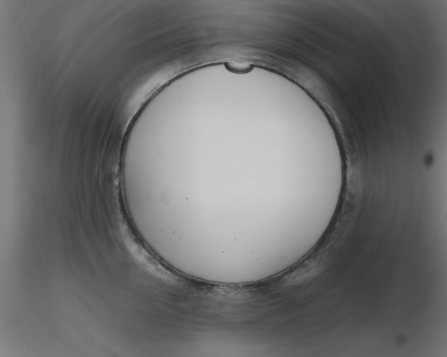 X0000116660954200912291634