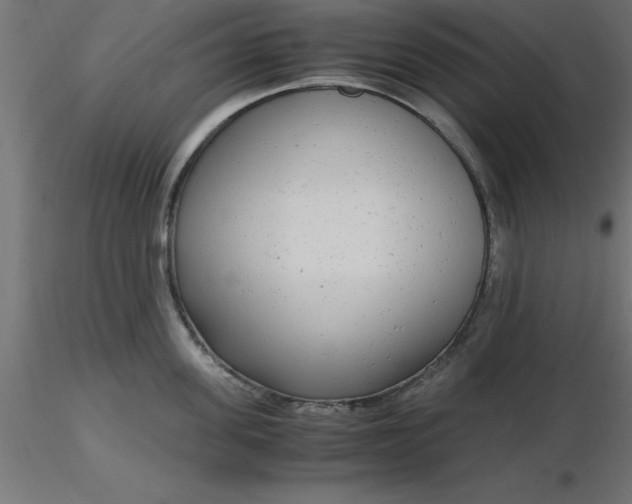 X0000116660955200912291634