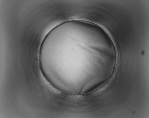 X0000116660957200912291635