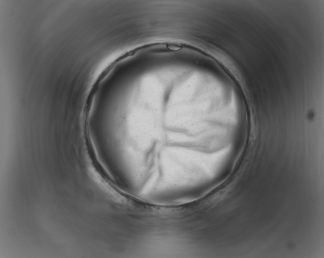 X0000116660958200912291635