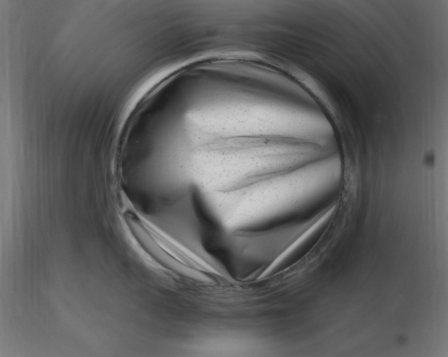 X0000116660959200912291635