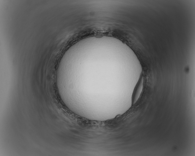 X0000116660961200912291634