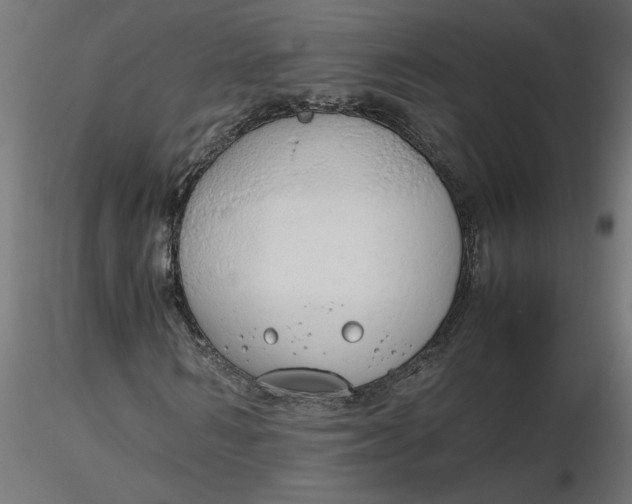 X0000116660962200912291634