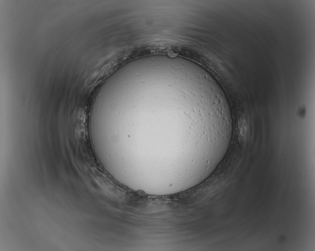 X0000116660964200912291634