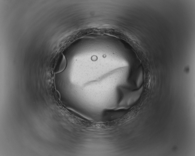 X0000116660966200912291634