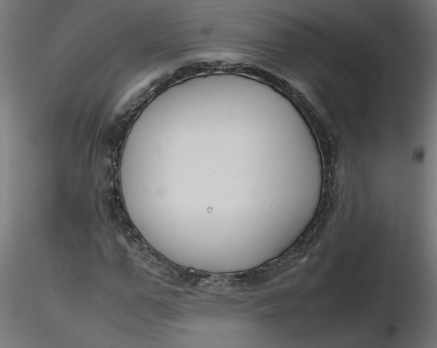 X0000116660967200912291634