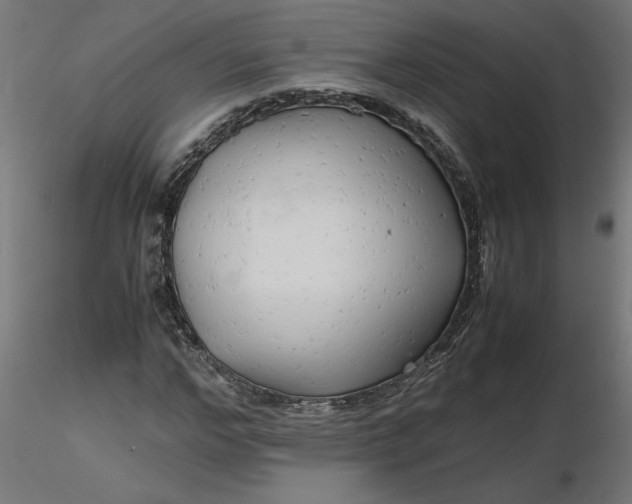 X0000116660968200912291634