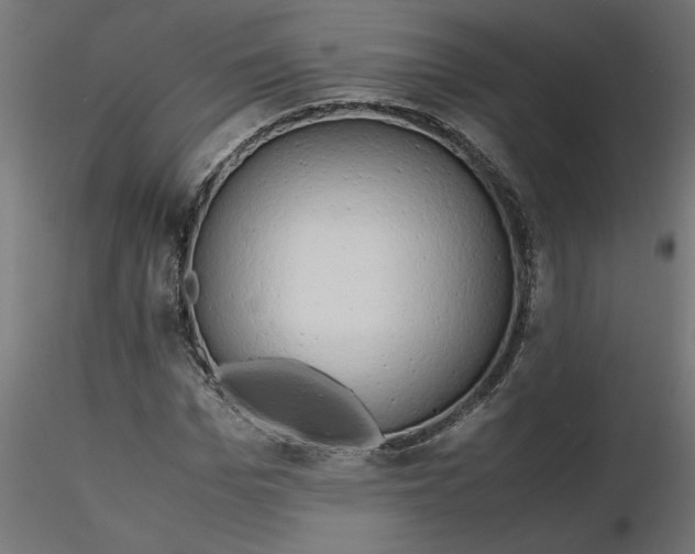 X0000116660969200912291634