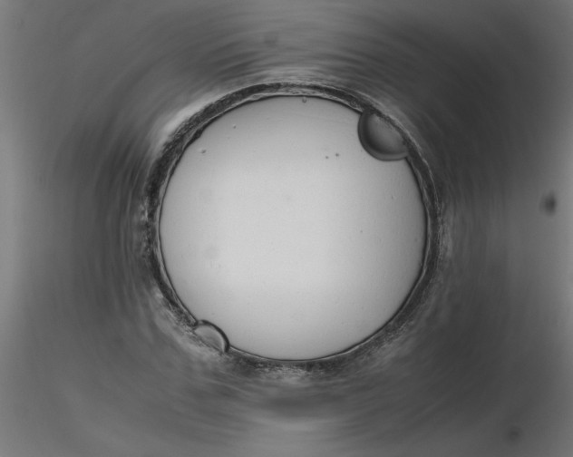 X0000116660971200912291634